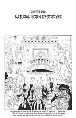 One Piece édition originale - Chapitre 866 - Natural born destroyer