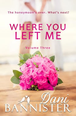 Where You Left Me, Vol. 3 - Where You Left Me, #3