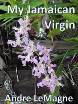 My Jamaican Virgin - Ladies of Jamaica, #2