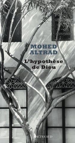 L'hypothèse de Dieu