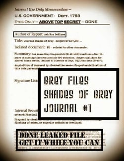 Grey Files: Shades of Grey Journal #1 - The Grey Files:, #1