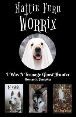 I Was A Teenage Ghost Hunter Romantic Comedies
