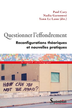 Questionner l’effondrement - Reconfigurations théoriques et nouvelles pratiques
