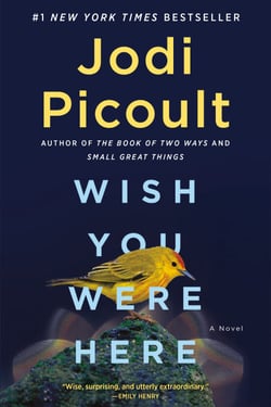 Wish You Were Here - A Novel