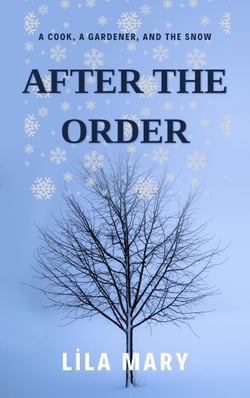 After the Order - The Order Trilogy, #4