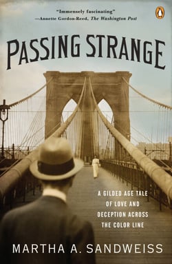 Passing Strange - A Gilded Age Tale of Love and Deception Across the Color Line