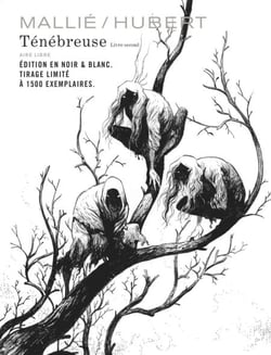 Ténébreuse - Tome 2 - Édition N&amp;B