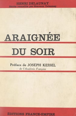 Araignée du soir
