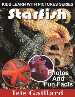 Starfish Photos and Fun Facts for Kids - Kids Learn With Pictures, #79