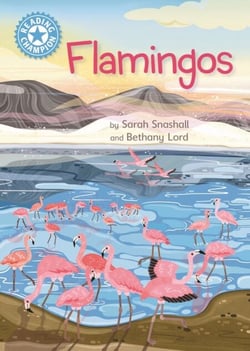 Flamingos - Independent Reading Non-Fiction Blue 4