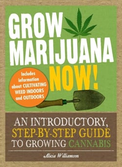 Grow Marijuana Now! - An Introductory, Step-by-Step Guide to Growing Cannabis
