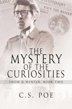 The Mystery of the Curiosities - Snow &amp; Winter, #2