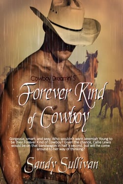 Forever Kind of Cowboy - Cowboy Dreamin', #5