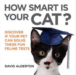 How Smart Is Your Cat? - Discover If Your Pet Can Solve These Fun Feline Tests