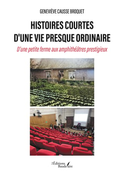 Histoires courtes d'une vie presque ordinaire