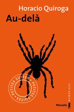Au-delà (nouvelle)
