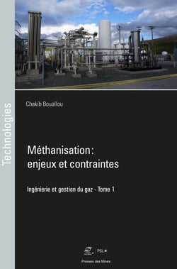 Méthanisation : enjeux et contraintes - Ingénierie et gestion du gaz - tome 1