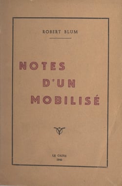 Notes d'un mobilisé