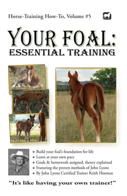 Your Foal: Essential Training - Horse Training How-To, #5