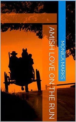 Amish Love On The Run