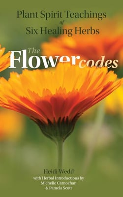 Plant Spirit Teachings of Six Healing Herbs - The Flower Codes, #2