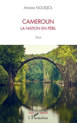 Cameroun la nation en péril - Essai