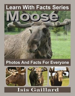 Moose Photos and Facts for Everyone - Learn With Facts Series, #56