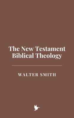The New Testament Biblical Theology