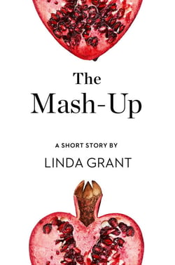 The Mash-Up - A Short Story from the collection, Reader, I Married Him