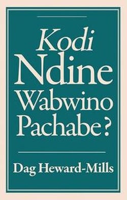 Kodi Ndine Wabwino Pachabe?