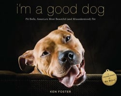 I'm a Good Dog - Pit Bulls, America's Most Beautiful (and Misunderstood) Pet