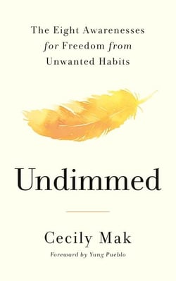 Undimmed - 8 Steps to Transform Your Relationship with Bad Habits and Unhealthy Patterns