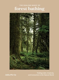 The Healing Magic of Forest Bathing - Finding Calm, Creativity, and Connection in the Natural World