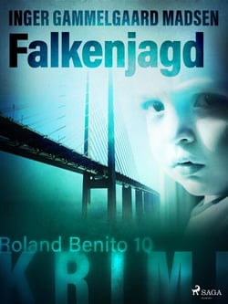 Falkenjagd – Roland Benito–Krimi 10