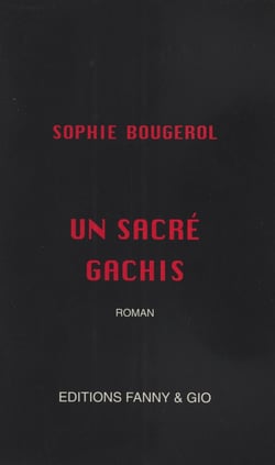 Un sacré gâchis - Roman