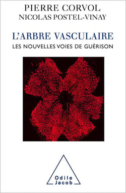 L' Arbre vasculaire - Les nouvelles voies de guérison