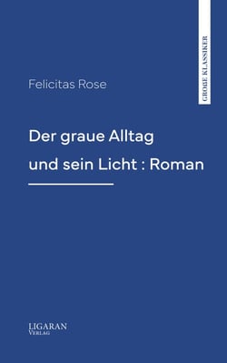 Der graue Alltag und sein Licht : Roman