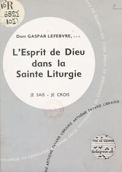L'Église dans sa liturgie et ses rites (10) : L'esprit de Dieu dans la sainte liturgie