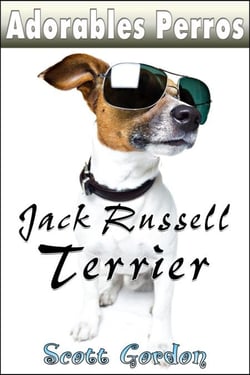 Adorables Perros: los Jack Russell Terrier - Adorables Perros