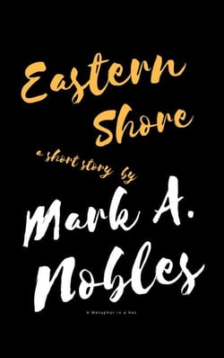 Eastern Shore - Metaphor in a Hat
