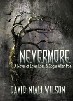 Nevermore - A Novel of Love, Loss, &amp; Edgar Allan Poe