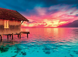 Puzzle 500 pièces - Peace Puzzle - Living the Present