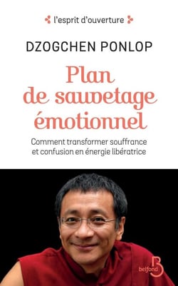 Plan de sauvetage émotionnel - Comment transformer souffrance et confusion en énergie libératrice