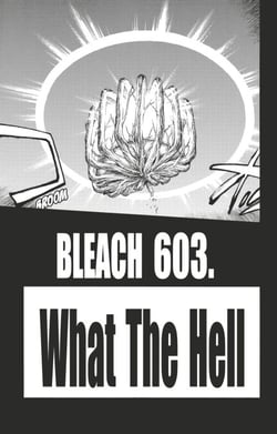 Bleach - T67 - Chapitre 603 - WHAT THE HELL