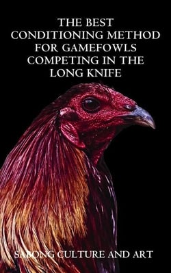 The Best Conditioning Method for Gamefowls Competing In the Long Knife