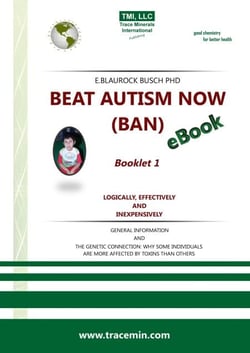 BEAT AUTISM NOW (BAN) - Booklet 1 – Logically, effectively and inexpensively - Autism Booklets, #1