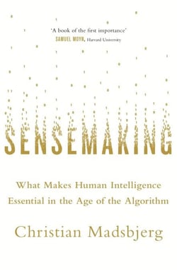 Sensemaking - What Makes Human Intelligence Essential in the Age of the Algorithm