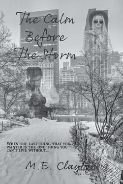 The Calm Before the Storm - The Storm Series, #2