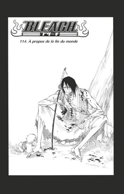 Bleach - T13 - Chapitre 114 - À propos de la fin du monde