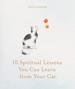 10 Spiritual Lessons You Can Learn from Your Cat - Essential Life Lessons We Can Learn From Our Furry Friend